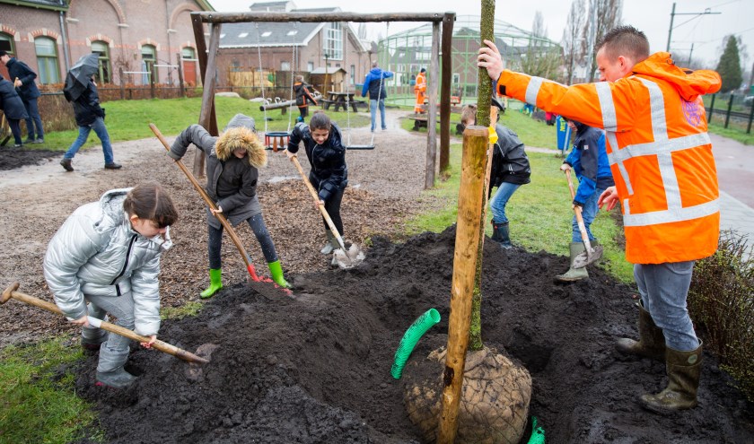 bomenplantdag